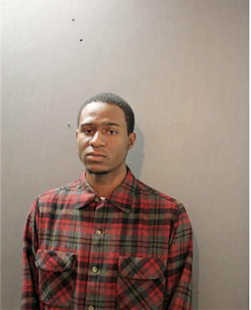MICHAEL A HAYES, Cook County, Illinois