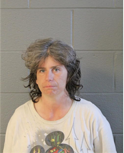 THERESA HENSLE, Cook County, Illinois