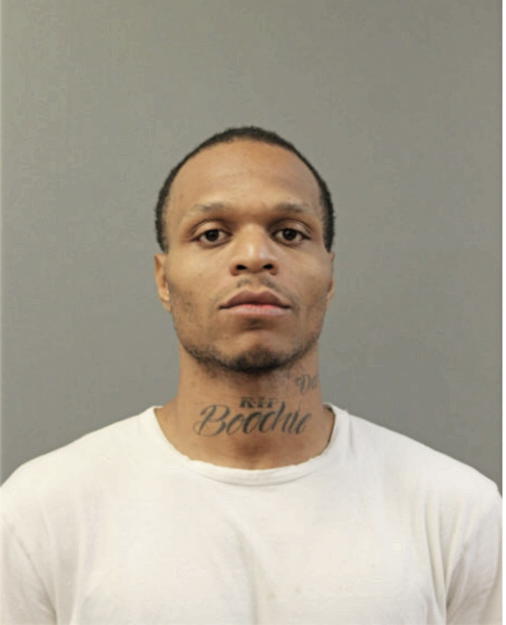 DARNELL A HOWARD, Cook County, Illinois