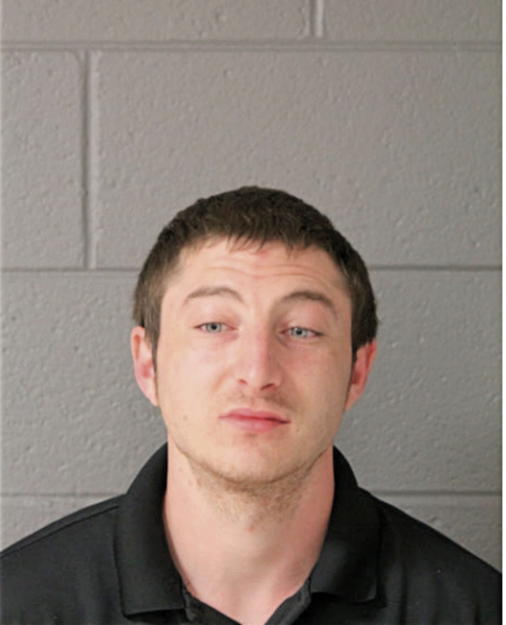 STEVEN T LEBER, Cook County, Illinois