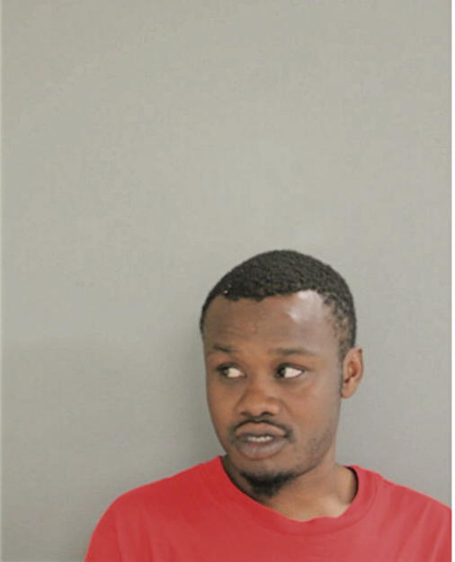 DERRICK L LOVE, Cook County, Illinois