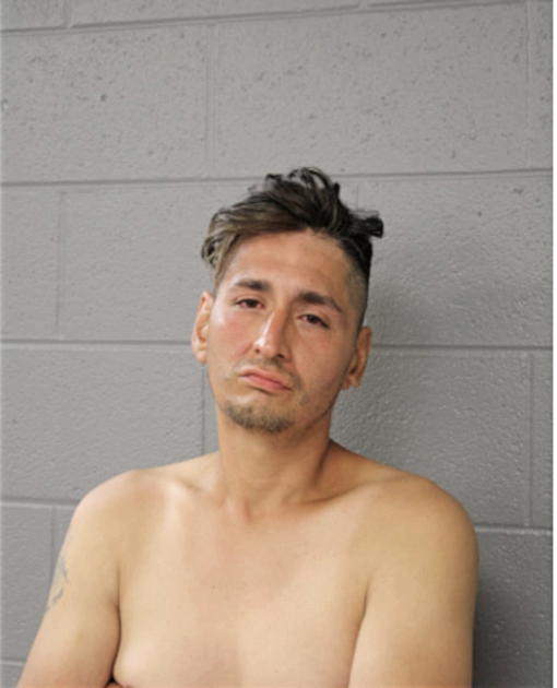 DAVID LOZANO, Cook County, Illinois