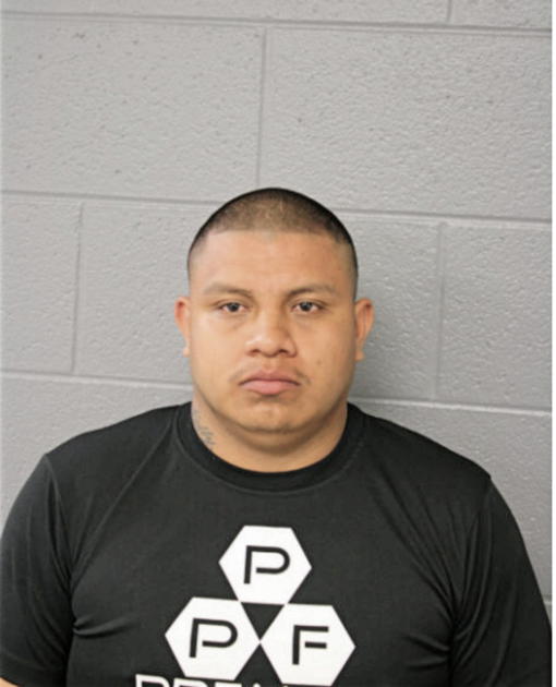 ENRIQUE MENDOZA, Cook County, Illinois
