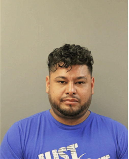 CARLOS M MERCADO, Cook County, Illinois