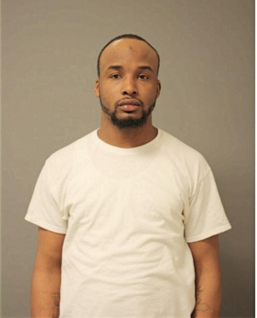 TRISTAN L MITCHELL, Cook County, Illinois