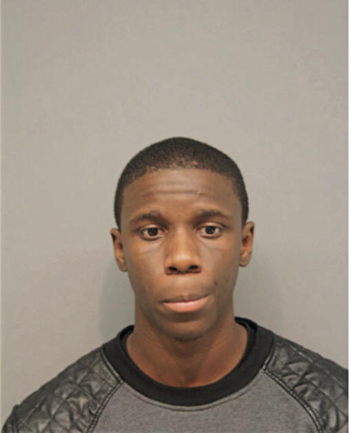 MATTHEW DR MOORE, Cook County, Illinois