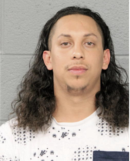 JONATHAN R PANIAGUA, Cook County, Illinois