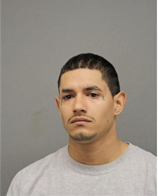 LUIS A RAMOS, Cook County, Illinois
