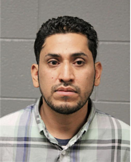 GUSTAVO REYES-MANZANREZ, Cook County, Illinois