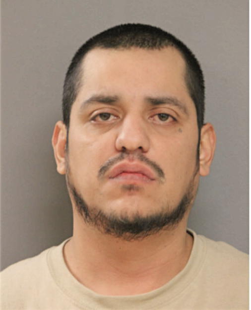 MARCO P TAMAYO, Cook County, Illinois