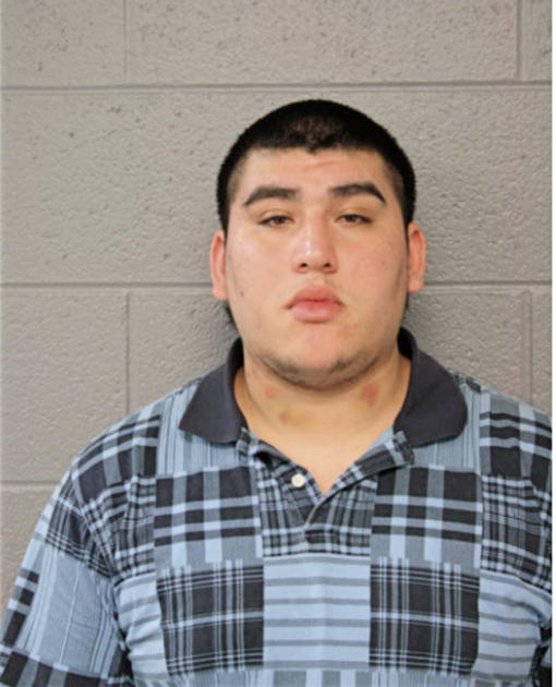 RAMON F TORRES, Cook County, Illinois