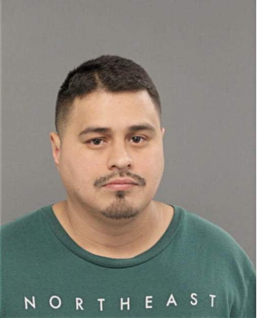 RENE ABEJA, Cook County, Illinois