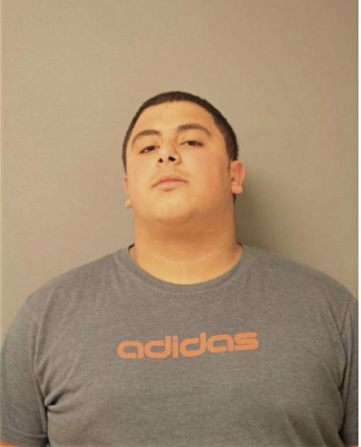 SAMIR A AYYASH, Cook County, Illinois