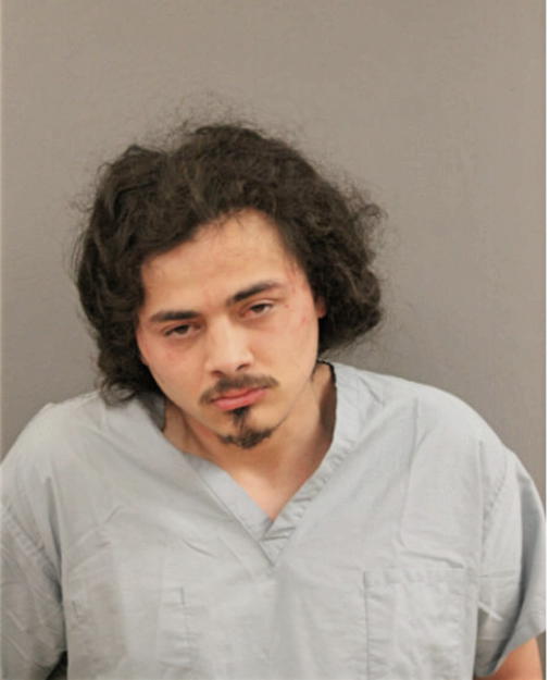 JOSHUA E CARRASQILLO, Cook County, Illinois