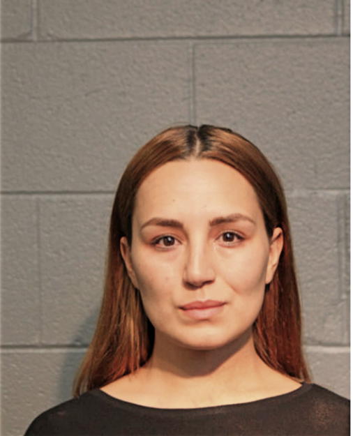 ANAKAREN LECHUGA CARRENO, Cook County, Illinois