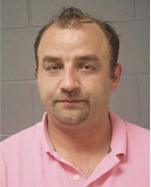 NIKOLA COSIC, Cook County, Illinois