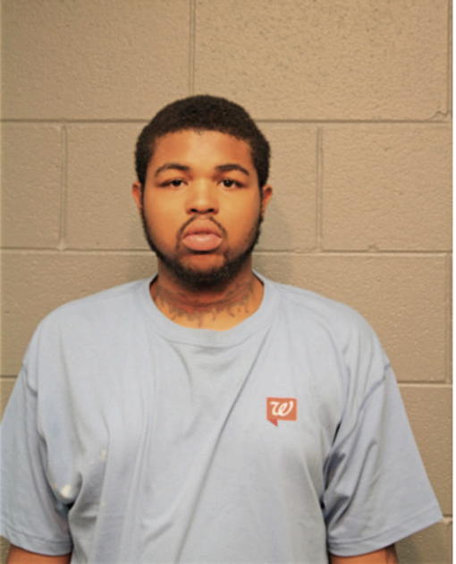 BRUCE E FORD, Cook County, Illinois