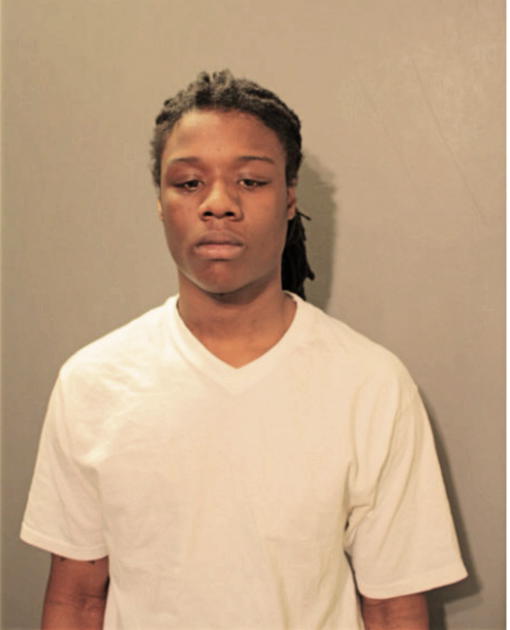 JESSE J GARDNER, Cook County, Illinois