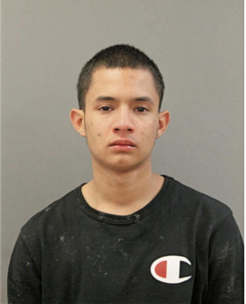 JUSTIN J HERNANDEZ, Cook County, Illinois