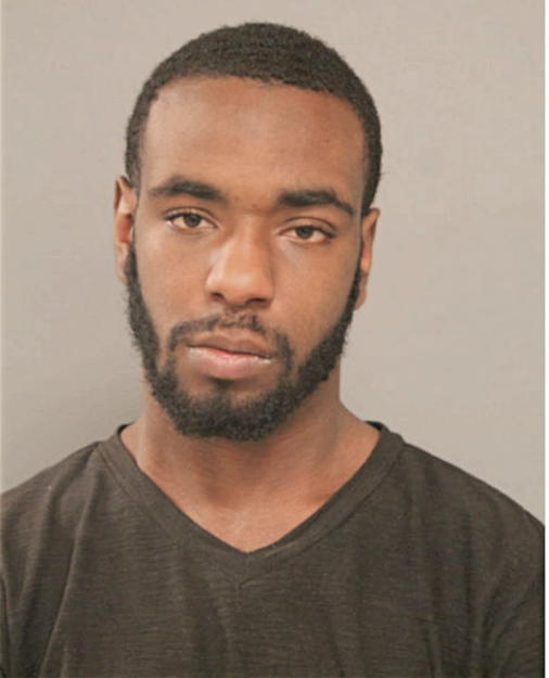 MARK L HICKS, Cook County, Illinois