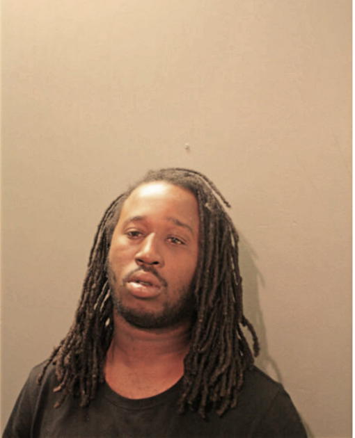 JOHANNA H JONES, Cook County, Illinois