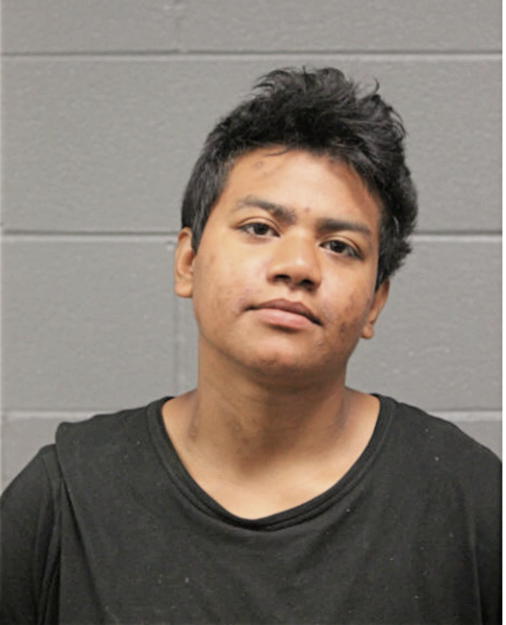 ANNETTE LEDESMA, Cook County, Illinois