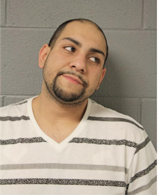 DAVID MAGANA, Cook County, Illinois