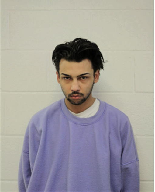 VINNIE E NOCHOLAS, Cook County, Illinois