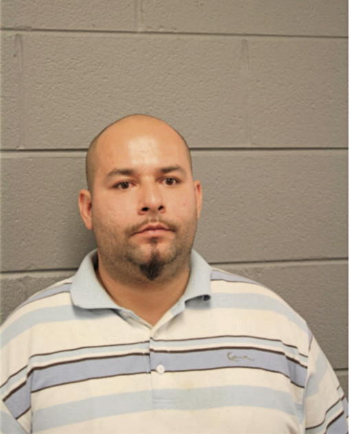 ROBERTO ORTEGA, Cook County, Illinois