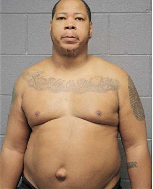 DAVID J PALMER, Cook County, Illinois
