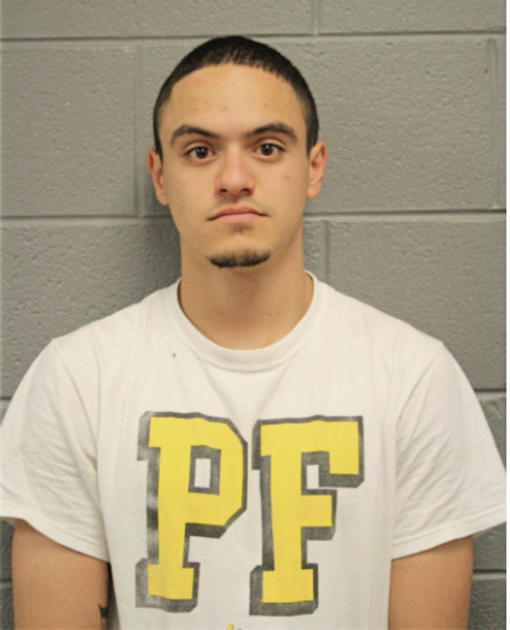 NICHOLAS R ROSARIO, Cook County, Illinois