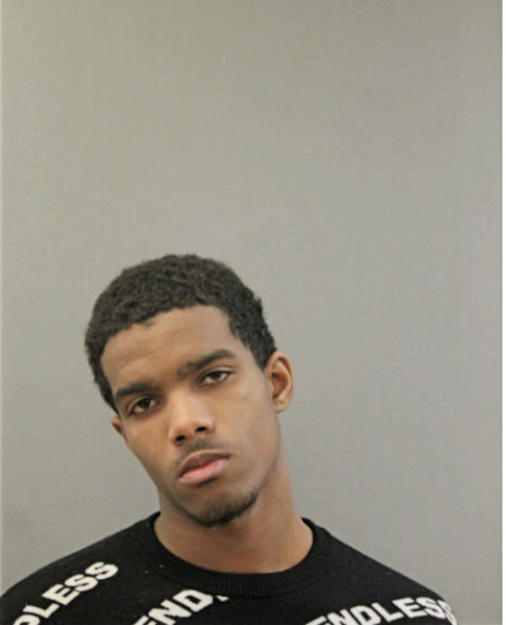RYAN R SANDERS, Cook County, Illinois