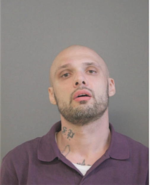 DUSTIN W SMITH, Cook County, Illinois