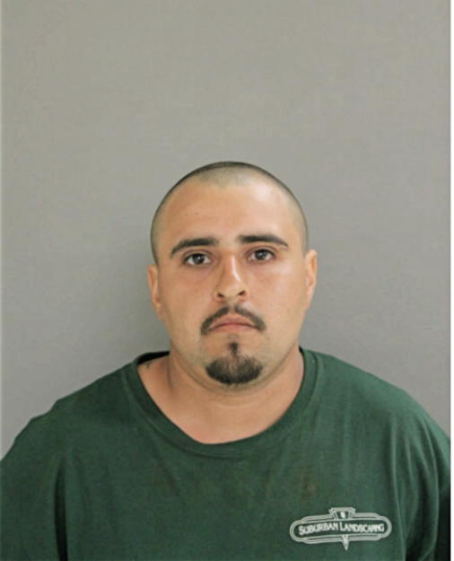 NESTOR E SOTO, Cook County, Illinois