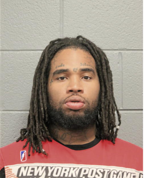 LESLIE T TEAGUE, Cook County, Illinois