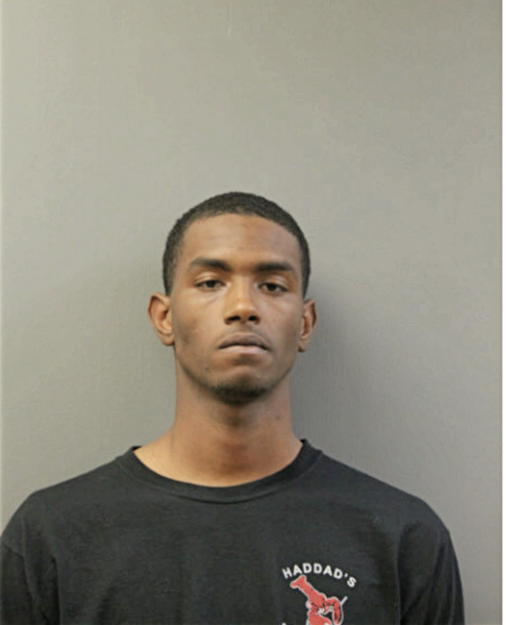 DOMINIQUE A VANLEE, Cook County, Illinois