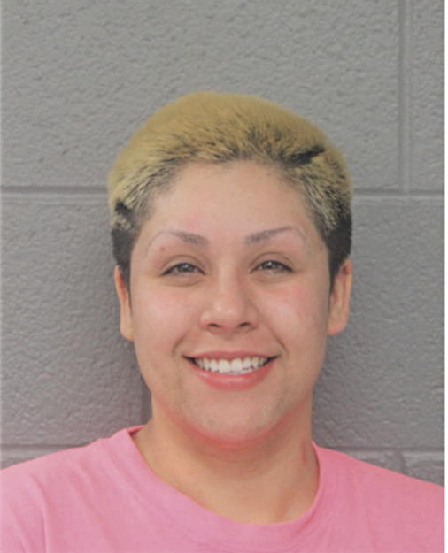 FRANCHESCA I VARGAS, Cook County, Illinois