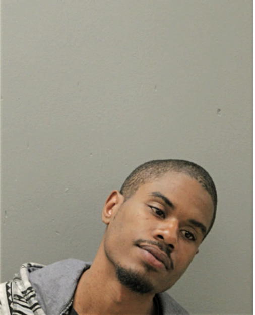 NICHOLAS T WILSON, Cook County, Illinois