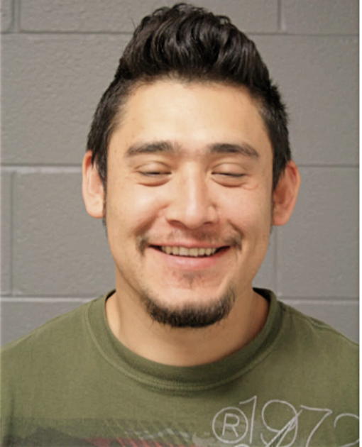 FRANCISCO ZAYAGO, Cook County, Illinois