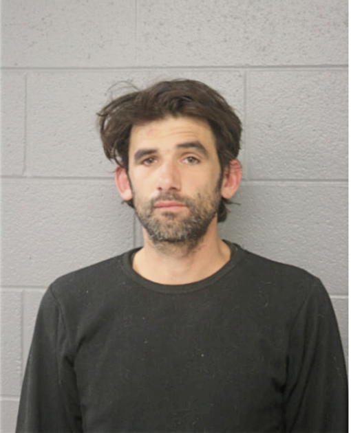 JUSTIN T ANDRE, Cook County, Illinois