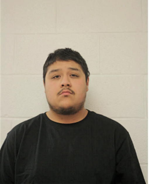 MARTIN BAHENA, Cook County, Illinois