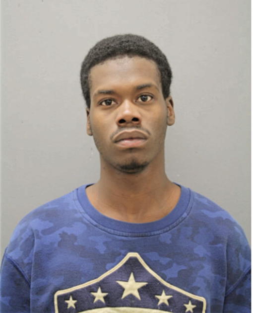 ERIC L BILLINGSLEA, Cook County, Illinois