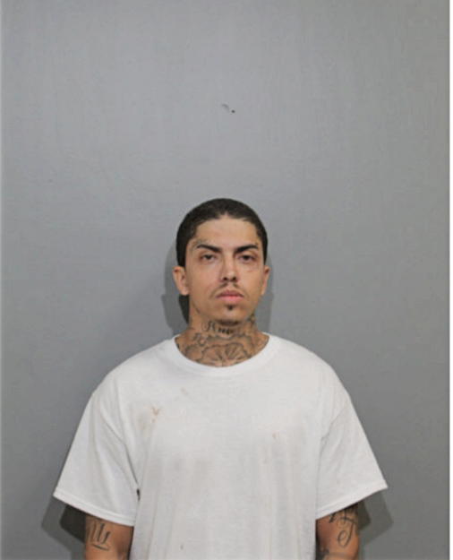 MICHAEL BRAVO, Cook County, Illinois
