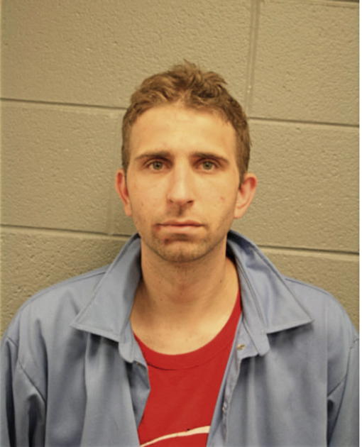 SEAN A CANCHOLA, Cook County, Illinois