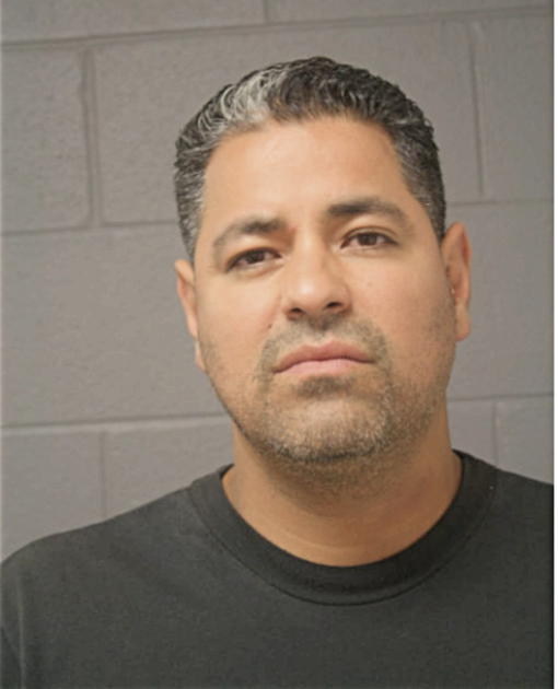 JUAN E ESTRADA, Cook County, Illinois