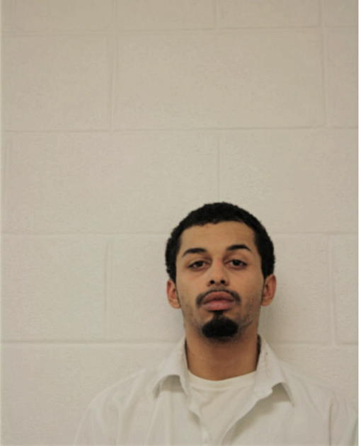 LUIS A FLORES, Cook County, Illinois