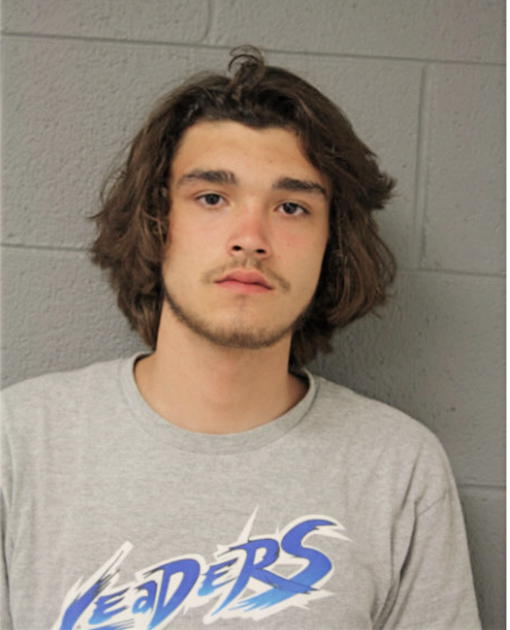 GABRIEL R FORGUE, Cook County, Illinois