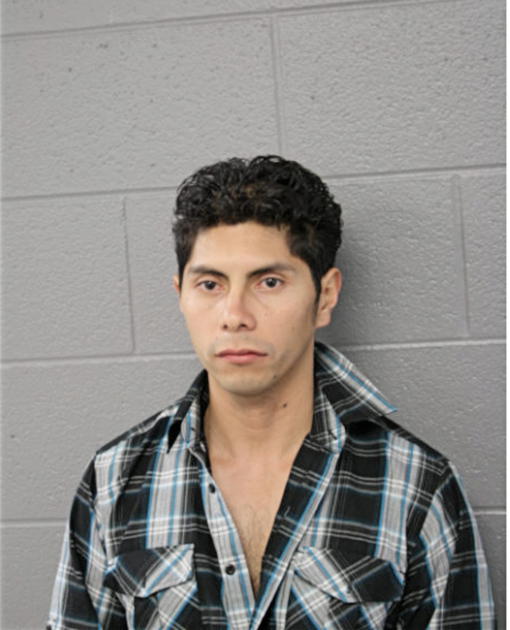 JAVIER GONZALEZ, Cook County, Illinois