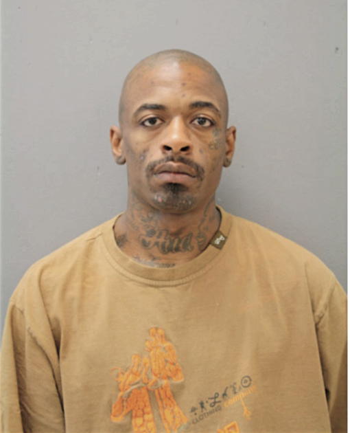 TERRANCE T JACKSON, Cook County, Illinois