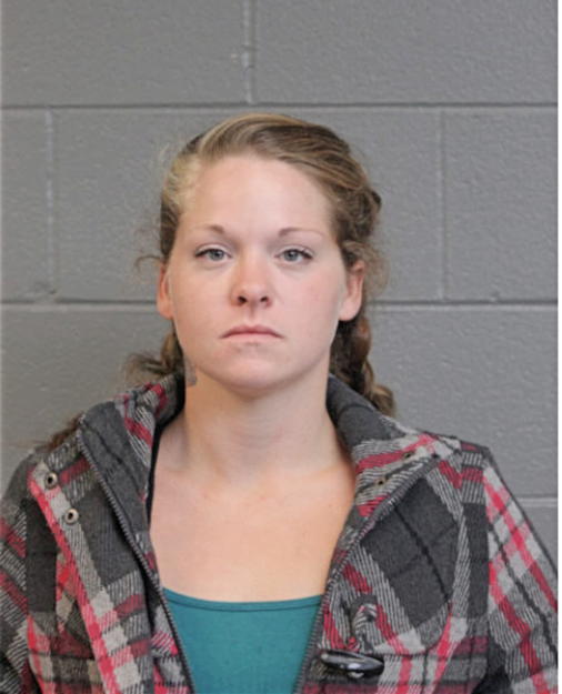 MICHELLE L KARN, Cook County, Illinois
